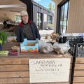 TURUKOMMENTAAR | Muhu turgu täidab hoopis teise saare kraam!