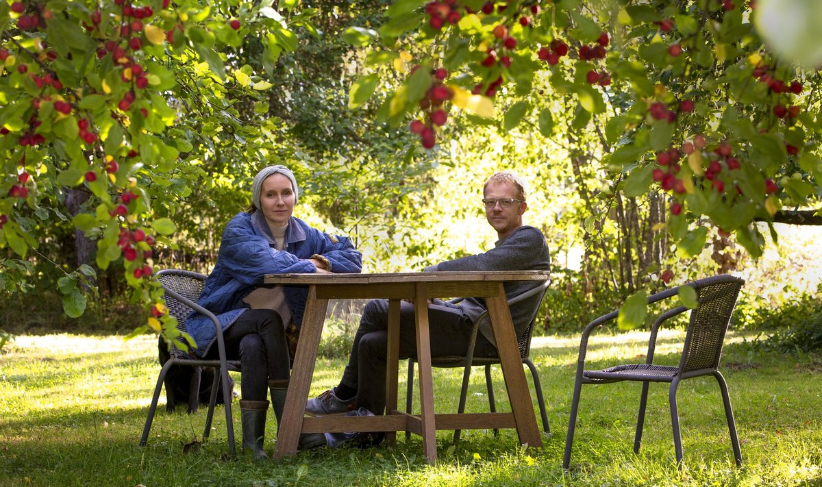 Pool Vilkeni talu krundist on õunapuuaed ligi 50 puuga. „Õunapuude lõikamisest meeldivamat tegevust pole ma veel leidnud,“ ütleb Kaarel Oja.