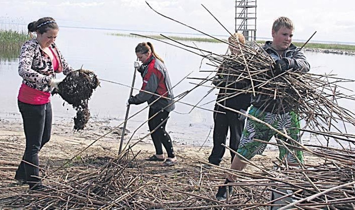 Töömalevlased Tarvastu poldri randa korrastamas. Foto: Alar Karu