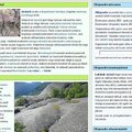 Eestikeelses Vikipeedias valmis 100 000. artikkel
