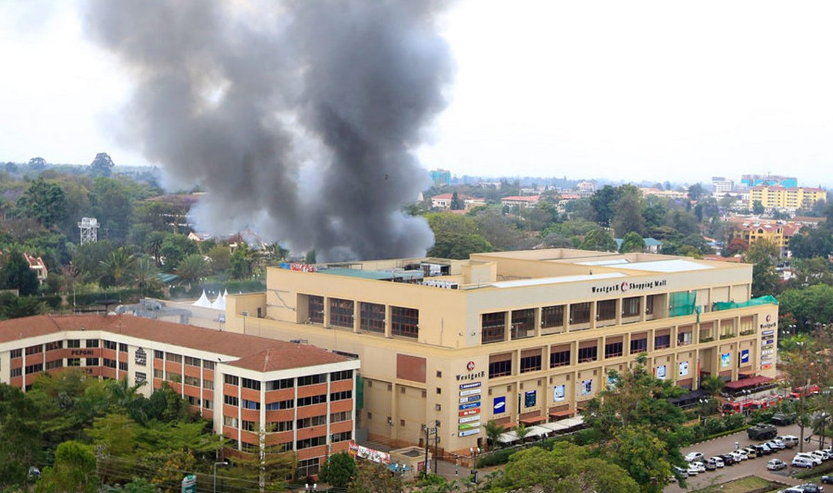USA eriüksuslaste tegutsemise ajendiks Somaalias oli terroristide äsja korraldatud Kenya kaubanduskeskuse Westgate’i ründamine. 