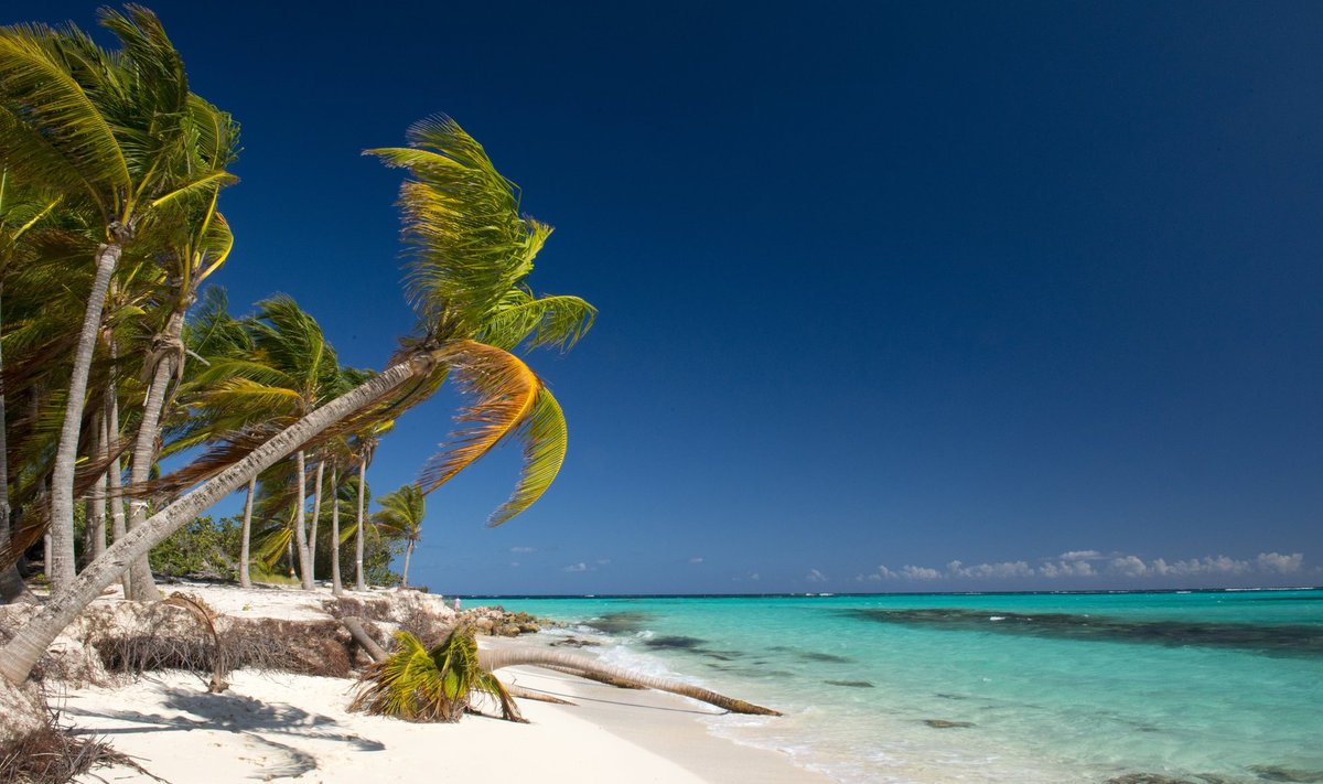 Anguilla saar võib sel aastal teenida miljoneid dollareid tänu oma domeenile.