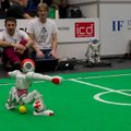 FOTOD: Robotivõistlusel Robotex 2013 purustati publiku- ja osalejate rekordid