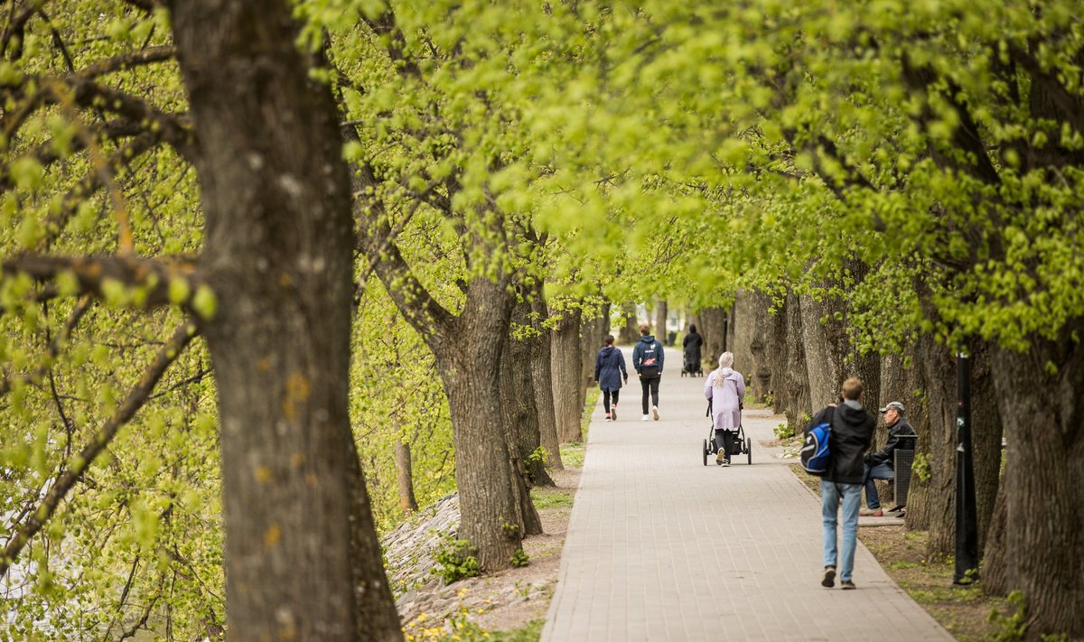 Tartu linn on teistele omavalitsustele kestliku arengu juhtimises eeskujuks.