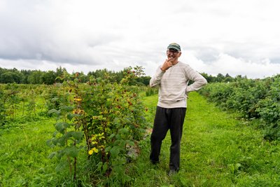 See siin on Eestis ainus vaarikas, mujalt vaarikaid ei leia, on Gunnar kindel.