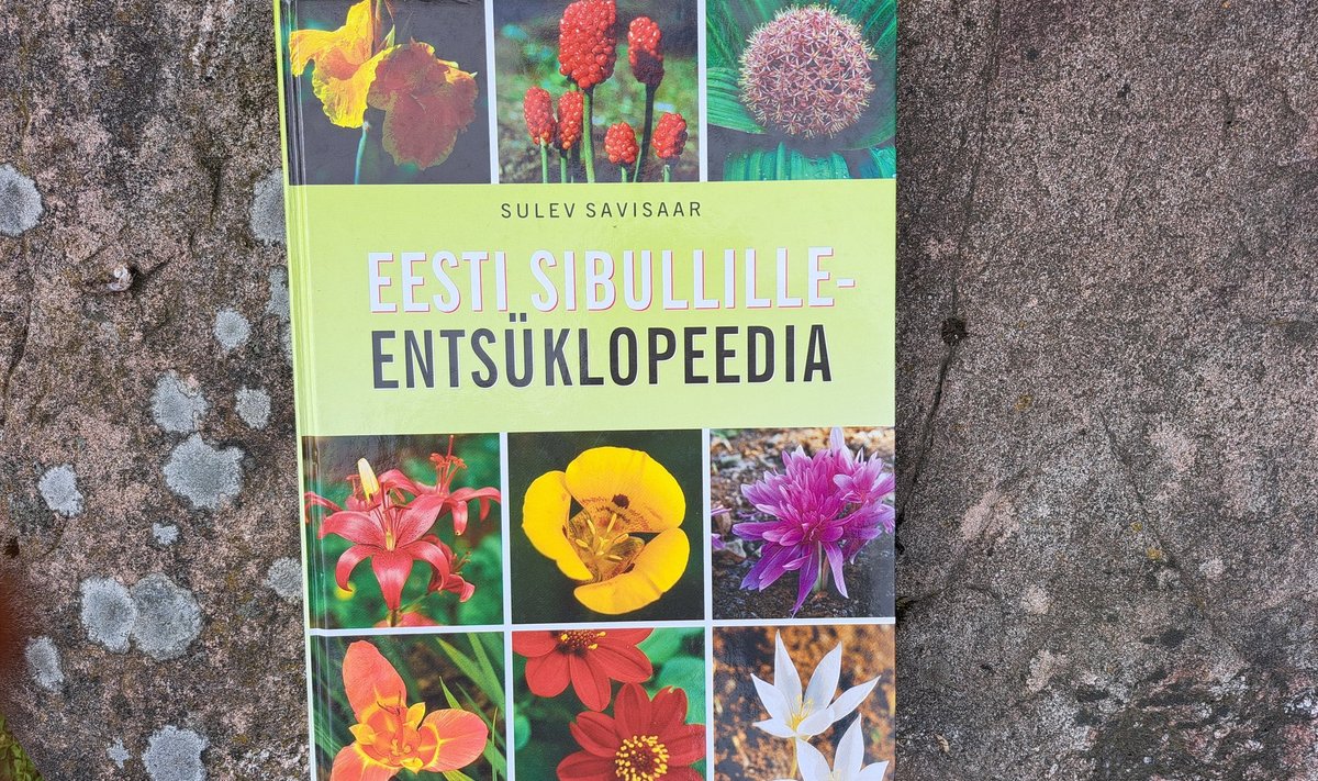 Sulev Savisaare raamat "Eesti sibullillede entsüklopeedia".