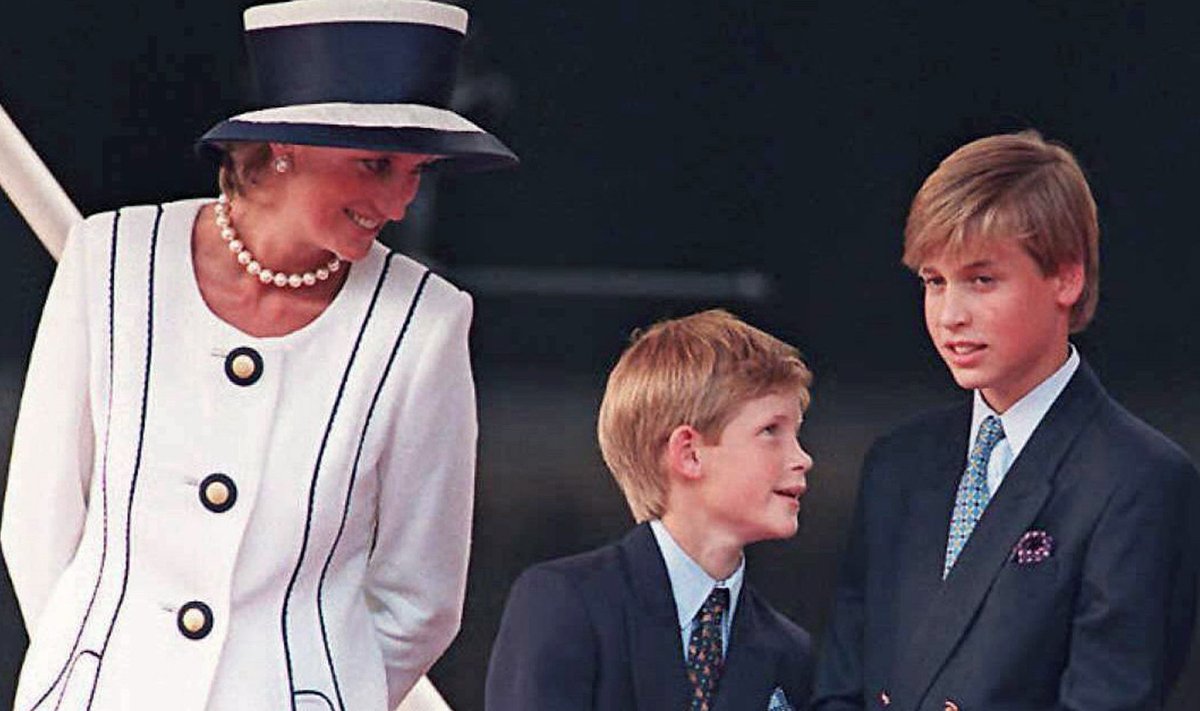 Printsess Diana, prints Harry ja prints William