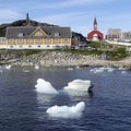 Аномальная жара в Арктике: в Гренландии вновь вспыхнула растительность, за месяц остров добавил в океан 197 миллиардов тонн воды