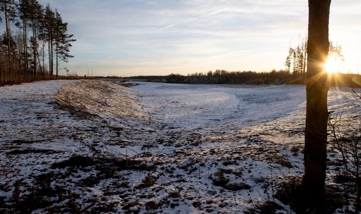 Maardu karjäär