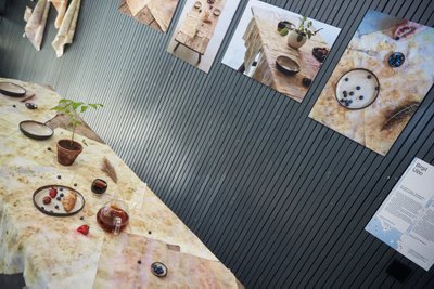 Birgit Uibo on töös „From Table to Table – Taimsete toidujääkidega lauatekstiilide värvimine” kasutanud ringmajanduse põhimõtet.