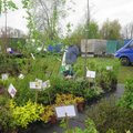 Eesti aiapidajad käisid Lätis taimi ostmas