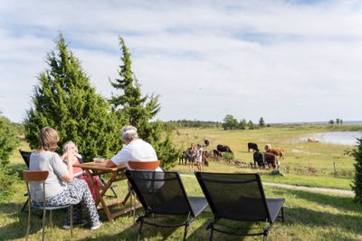 Hiiumaa kodukohvikute päevad