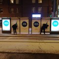 FOTOD | Turvatöötajad puhastasid ära vandaalide ohvriks langenud Eesti 200 uued plakatid