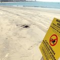 В Калифорнии закрыли пляжи из-за масштабного прорыва канализации
