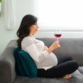 Kas klaasike veini on rasedana lubatud või mitte? Ämmaemand vastab