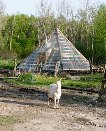Püramiidkasvuhoone Lõu külas, Saaremaal.