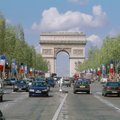 Улица не для людей: мэрия Парижа взялась превратить Елисейские поля в сад