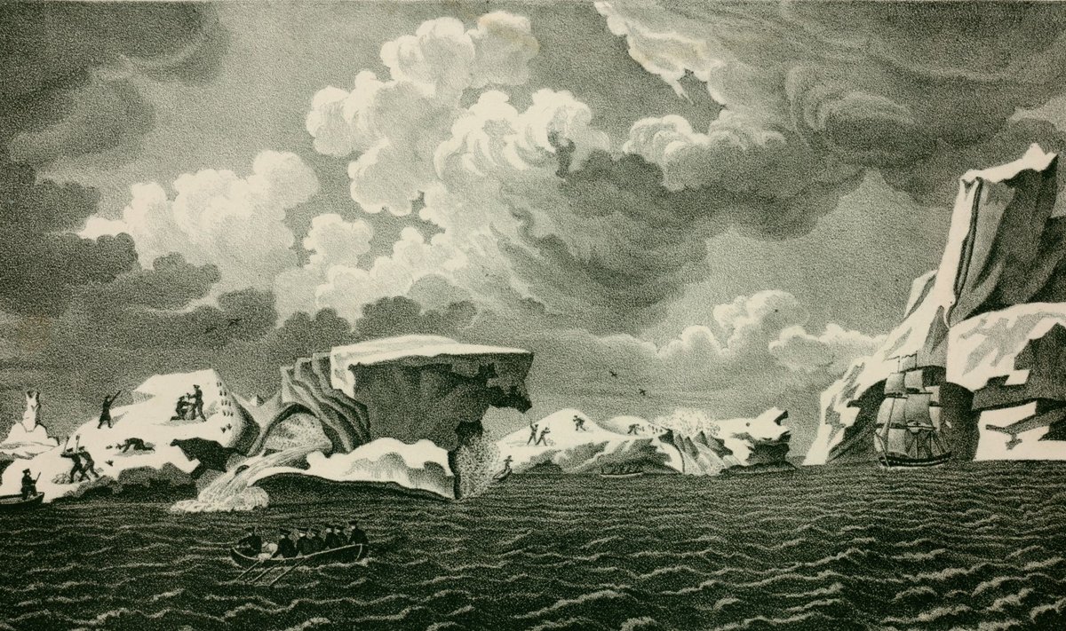 Pavel Mihhailov, Bellingshauseni ekspeditsioon jäämägede vahel.