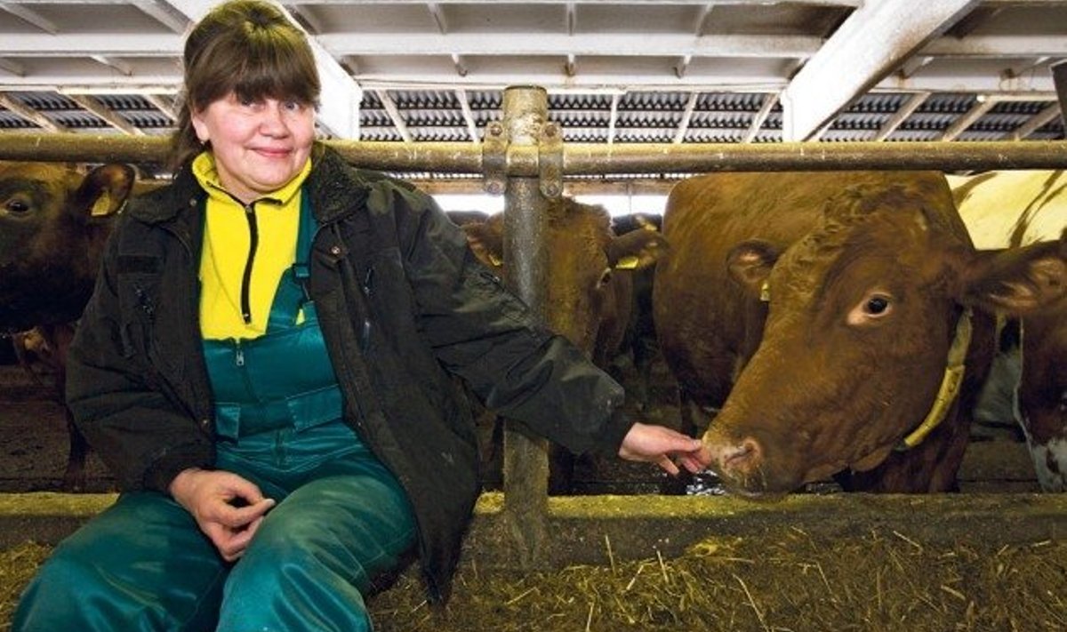 Kõpu PM OÜ farmijuhataja Sirje Kroonberg ütleb, et talle lihtsalt meeldivad punased lehmad. 