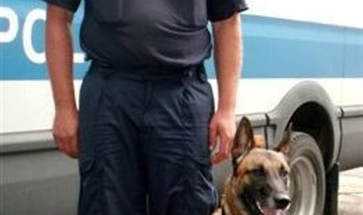 Politseikoer Kraft koos koerajuhiga
