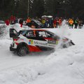 WRC ässad muretsevad: kas soojakraadid rikuvad Rootsi ralli ära?