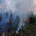 ФОТО | Спасатели два дня тушили в Ида-Вирумаа лесной пожар