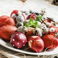 Käes on kevadpühad: värvi mune, too tuppa kevadlilli ja järgi vanarahva traditsioone