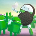 Ikkagi pead uue telefoni ostma: Google hakkab vanu Androidi äppe tõrjuma