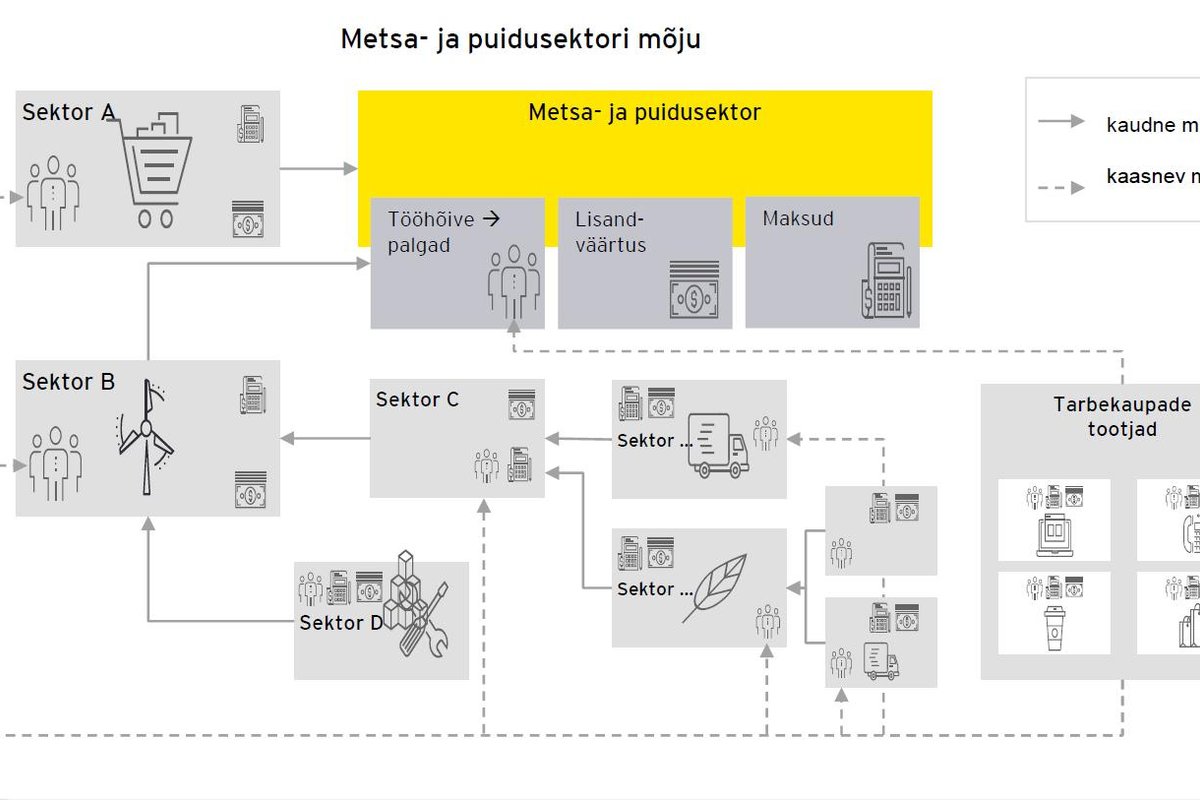 Metsa- ja puidusektor tõi aastas 565 miljonit maksutulu