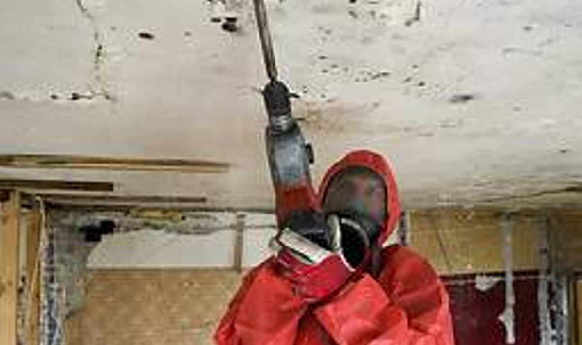 TÕRJE: Asbeko töötajad eemaldavad müügijuhi sõnul hallitust samu ohutusmeetoteid kasutades, mis muidu leiavad rakendamist asbestitöödel. Ingmar Muusikus