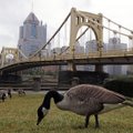 USA pesapalliliiga kohtunik päästis Pittsburghi sillalt enesetappu üritanud naise