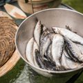 Парламентские комиссии обсудят организацию рыбной ловли на Чудском озере