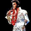 Spekulatsioonid Elvis Presley surma üle. Presley kasuvend: ta võttis teadlikult ravimeid, mis ta tapsid