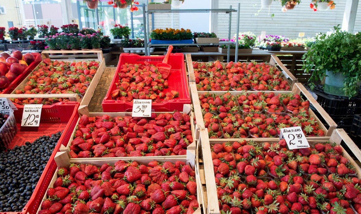 Maasika hinnad turgudel