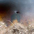 Teadlased teevad Läänemaal ainulaadset katset vett puhastada