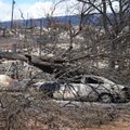 Смертоносные лесные пожары на Гавайях: более 100 погибших