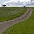 Jäädvustame Eesti elu: Vapper karjane