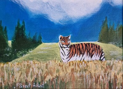 Katrini maalitud Muhu tiiger