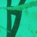 Jaava mere põhjast leiti alla kukkunud AirAsia reisilennuki saba