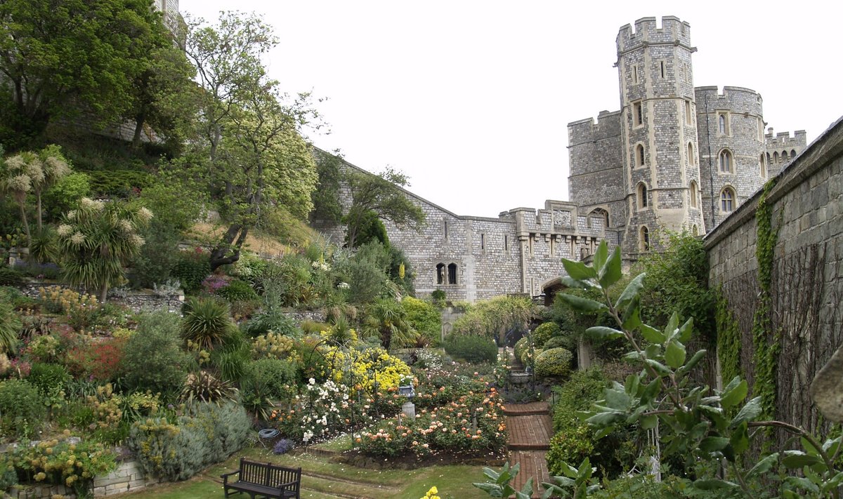 Chatsworth House'i uhke tornidega loss müüride vahele peitunud aiasopiga.