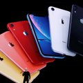 Apple sulgeb koroonaviiruse tõttu kõik kauplused väljaspool Hiinat