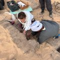 FOTOD | Egiptusest leiti sadu vanu veinikanne - vaata, mis on järele jäänud veinist peale 5000 aastat seismist