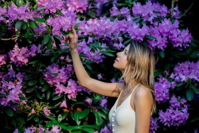 Rododendron