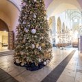 Предрождественское время в музее церкви Нигулисте: сказочная елка, захватывающий вид на украшенный Старый город и праздничная программа