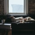Hädavajalikud nipid rännusellidele: kuidas võõral diivanil magada