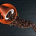 Kohvi joomine enne treeningut teeb organismiga midagi lahedat