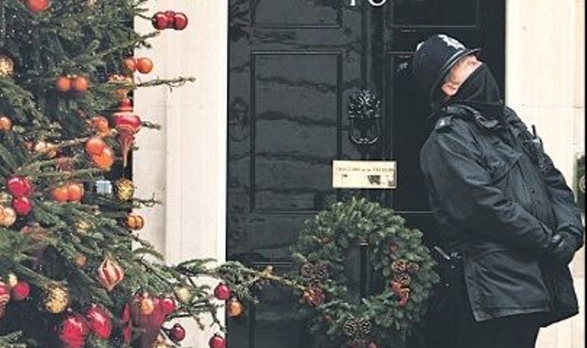 Ehkki peaminister Gordon Browni kontori ees Downing Streetil püüab pilke uhkelt ehitud jõulupuu, on meeleolud Tööpartei ridades pühadeaegsest rahulolust kaugel. Foto: Anna Branthwaite