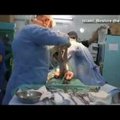 VIDEO: Uskumatu pääsemine! Arstid pingutasid 20 minutit, et elumärkideta beebi siia ilma tagasi tuua