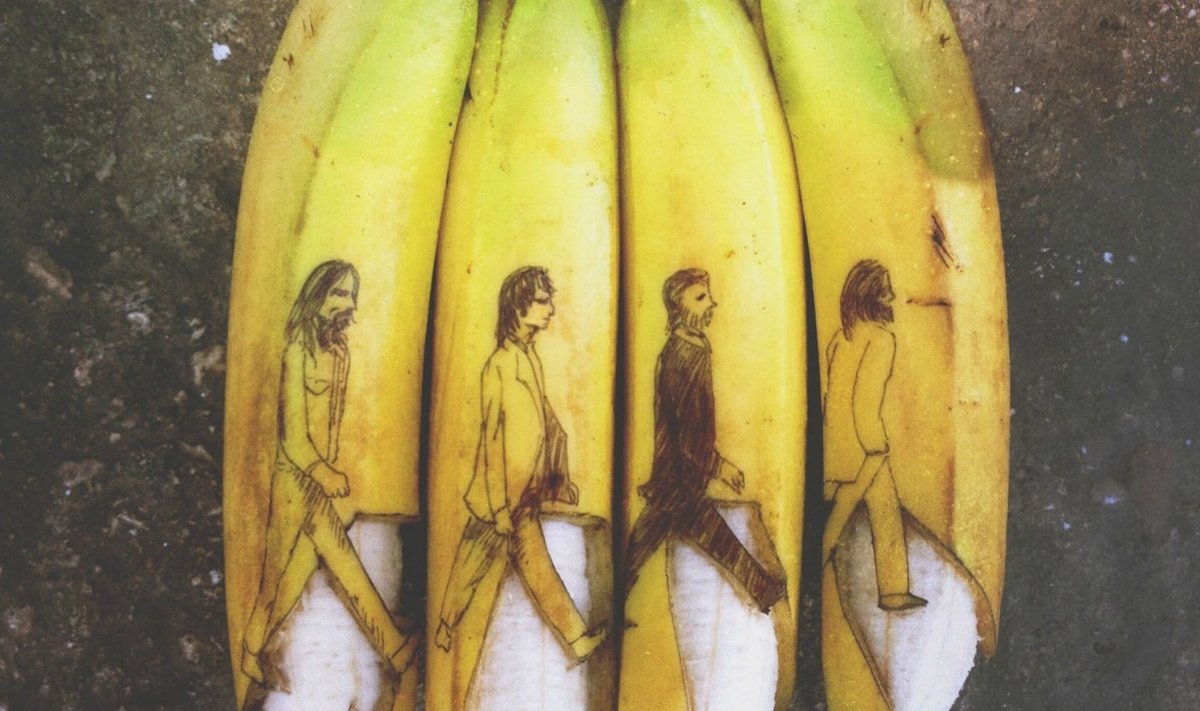 Hollandi kunstnik Stephan Brusche'i banaanid.