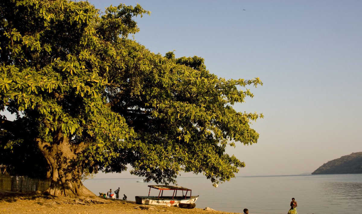 Malawi järv